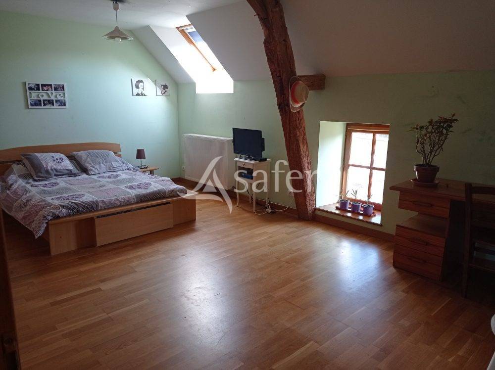 Woodland  Saône-et-Loire