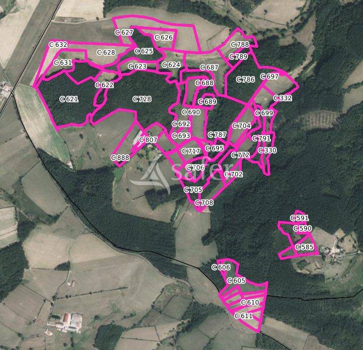 Woodland  Saône-et-Loire