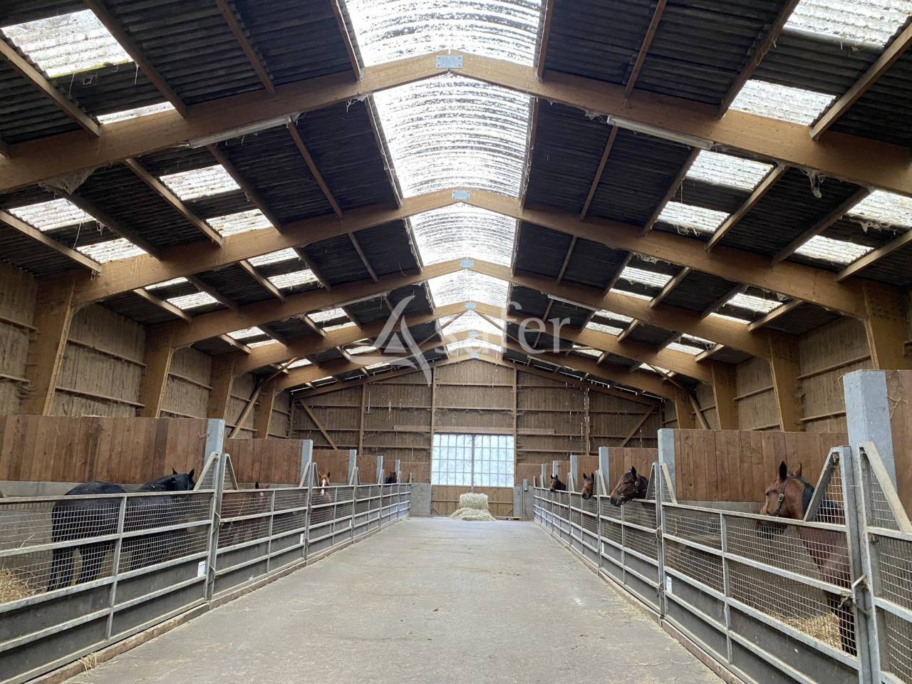 Other agricultural property  Orne