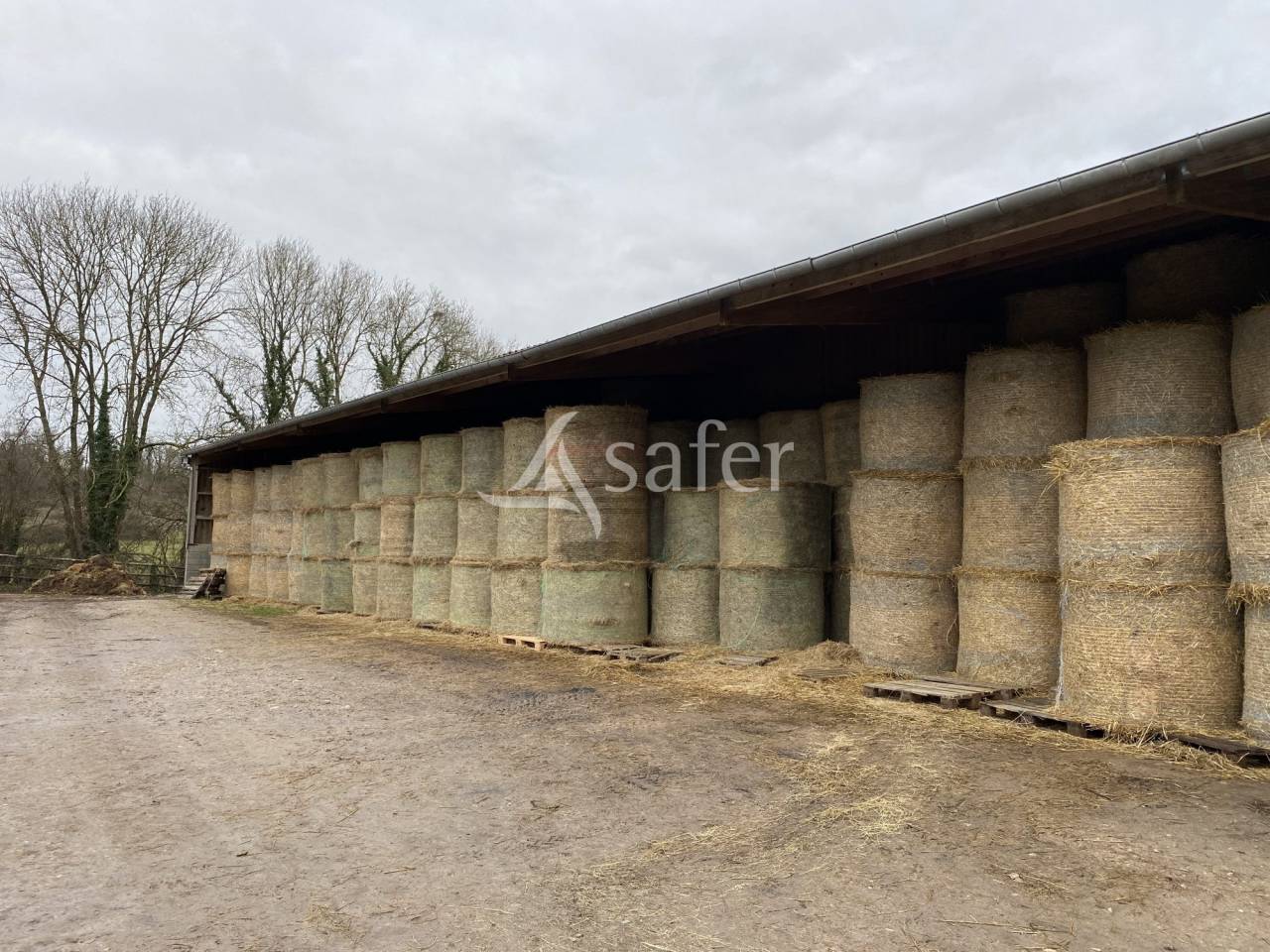 Other agricultural property  Orne