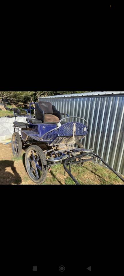 Carriage - Other carriage   