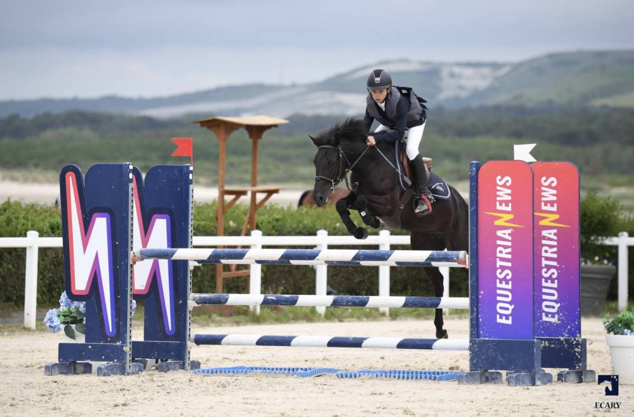 Mare French Saddle Pony For sale 2014 Black