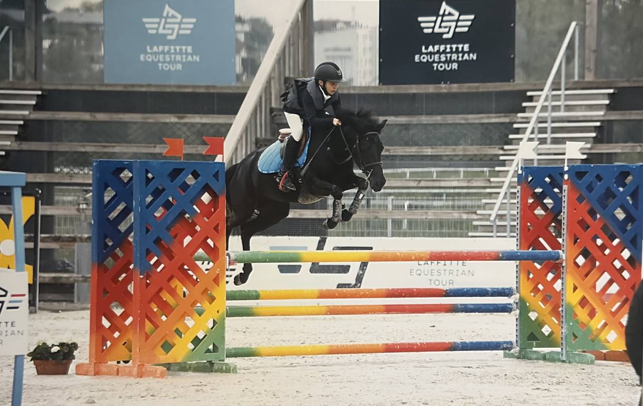 Mare French Saddle Pony For sale 2014 Black