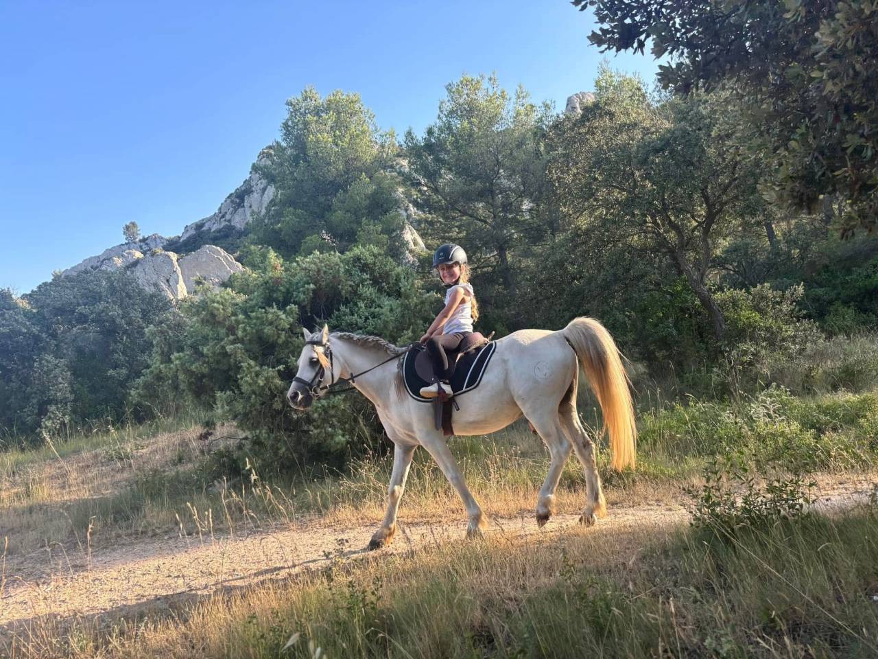 Gelding Welsh Pony (Section A) For sale 2009 Grey