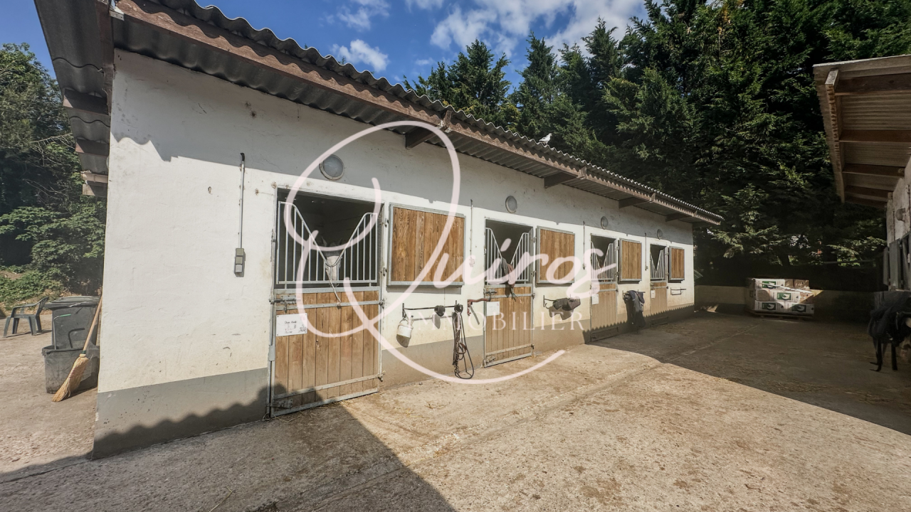 Riding school  Yvelines