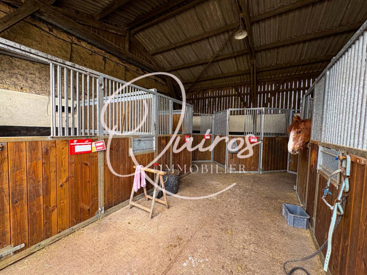 Equestrian property  Calvados