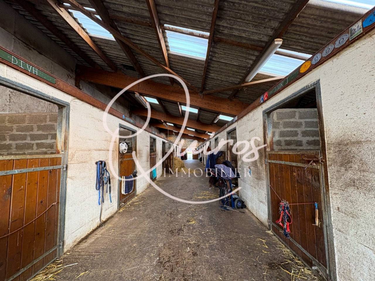 Equestrian property  Calvados