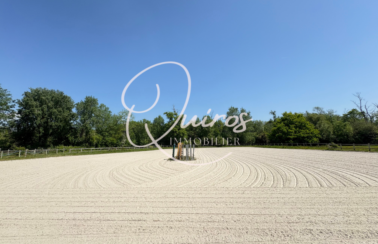 Livery yard  Seine-et-Marne