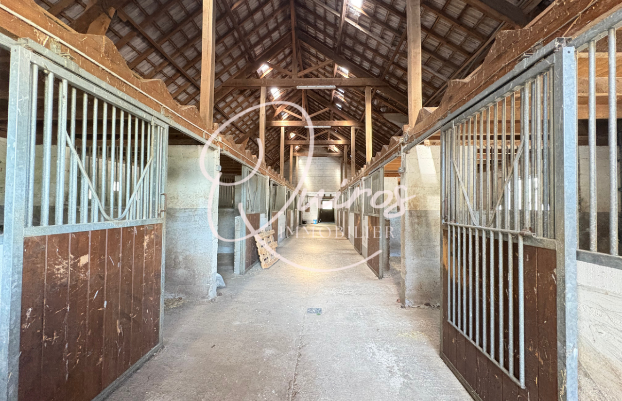 Livery yard  Seine-et-Marne