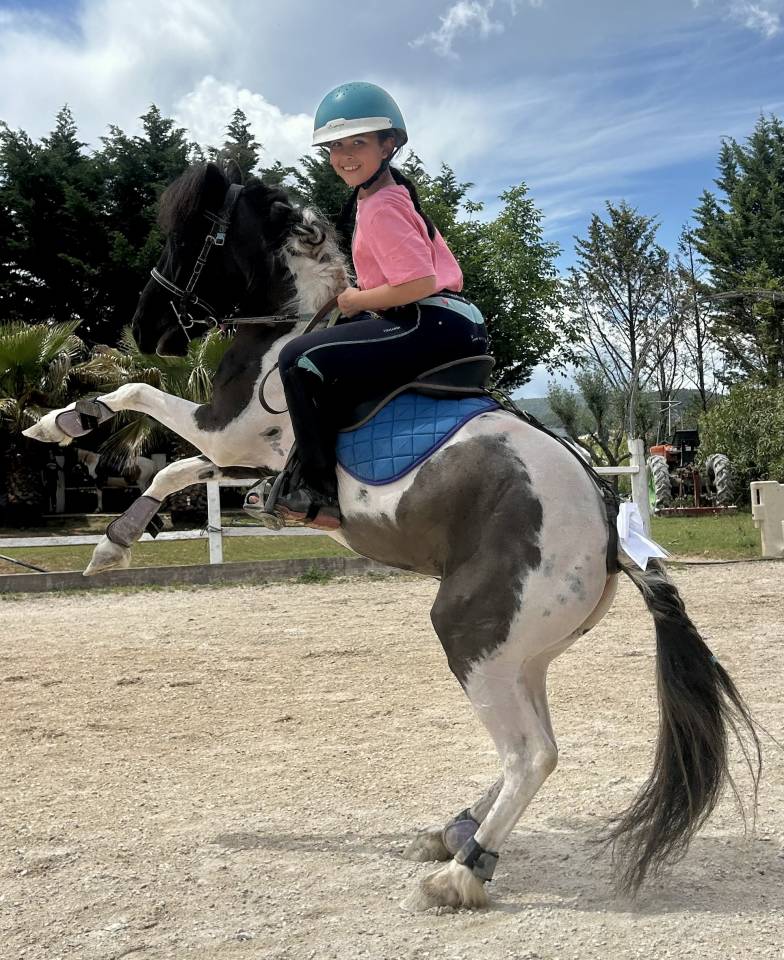 Mare No Origin Recorded For sale 2021 Coloured