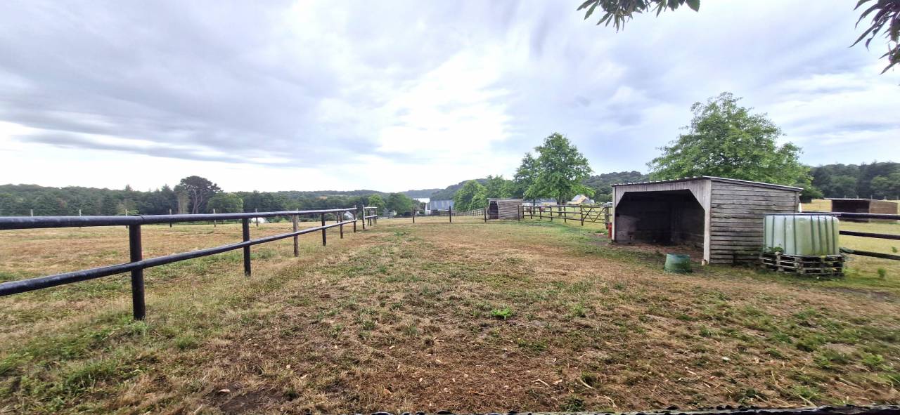 Luxurious equestrian property  Morbihan