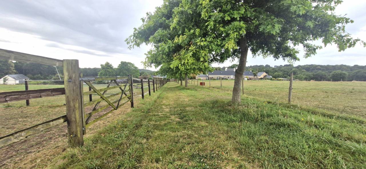 Luxurious equestrian property  Morbihan