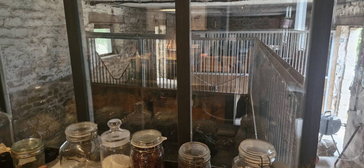 Luxurious equestrian property  Morbihan