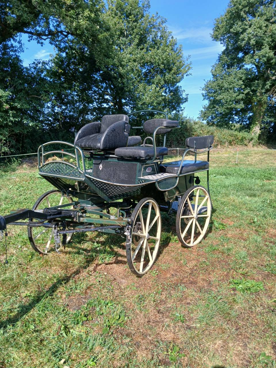 Carriage - Marathon for leisure - Other brand - GLINKOWSKI TR5 