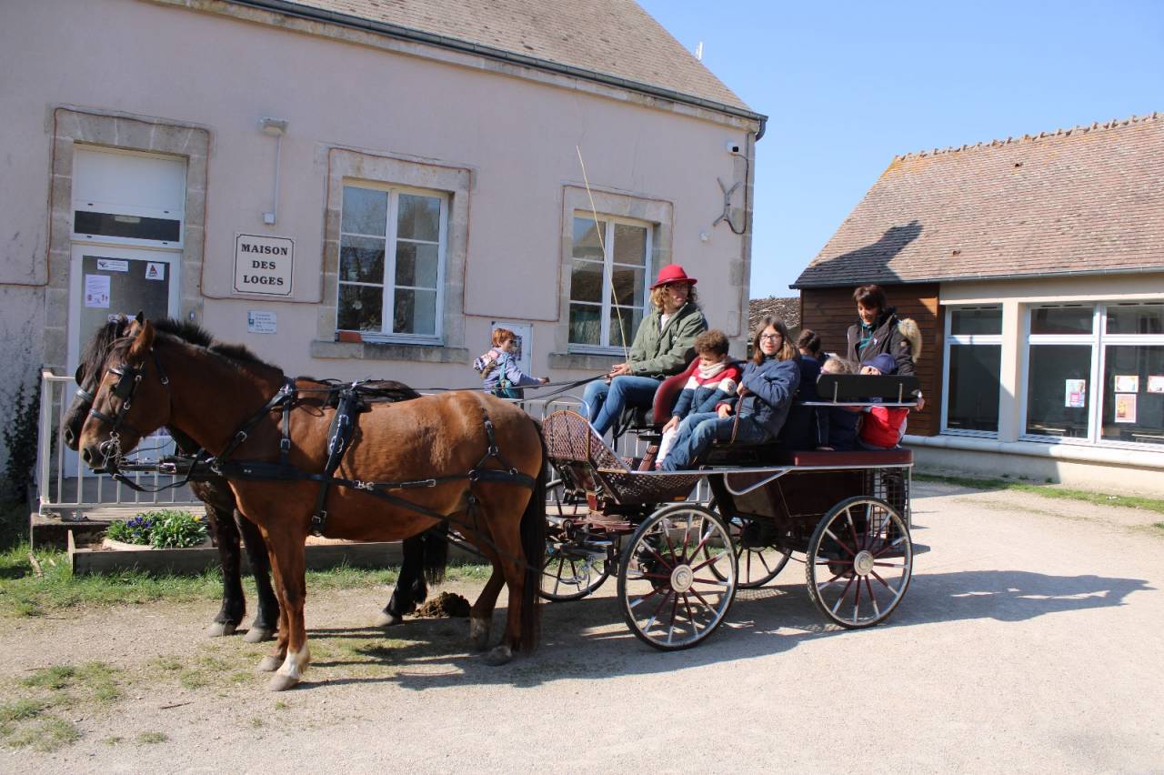 Carriage - Marathon for leisure   