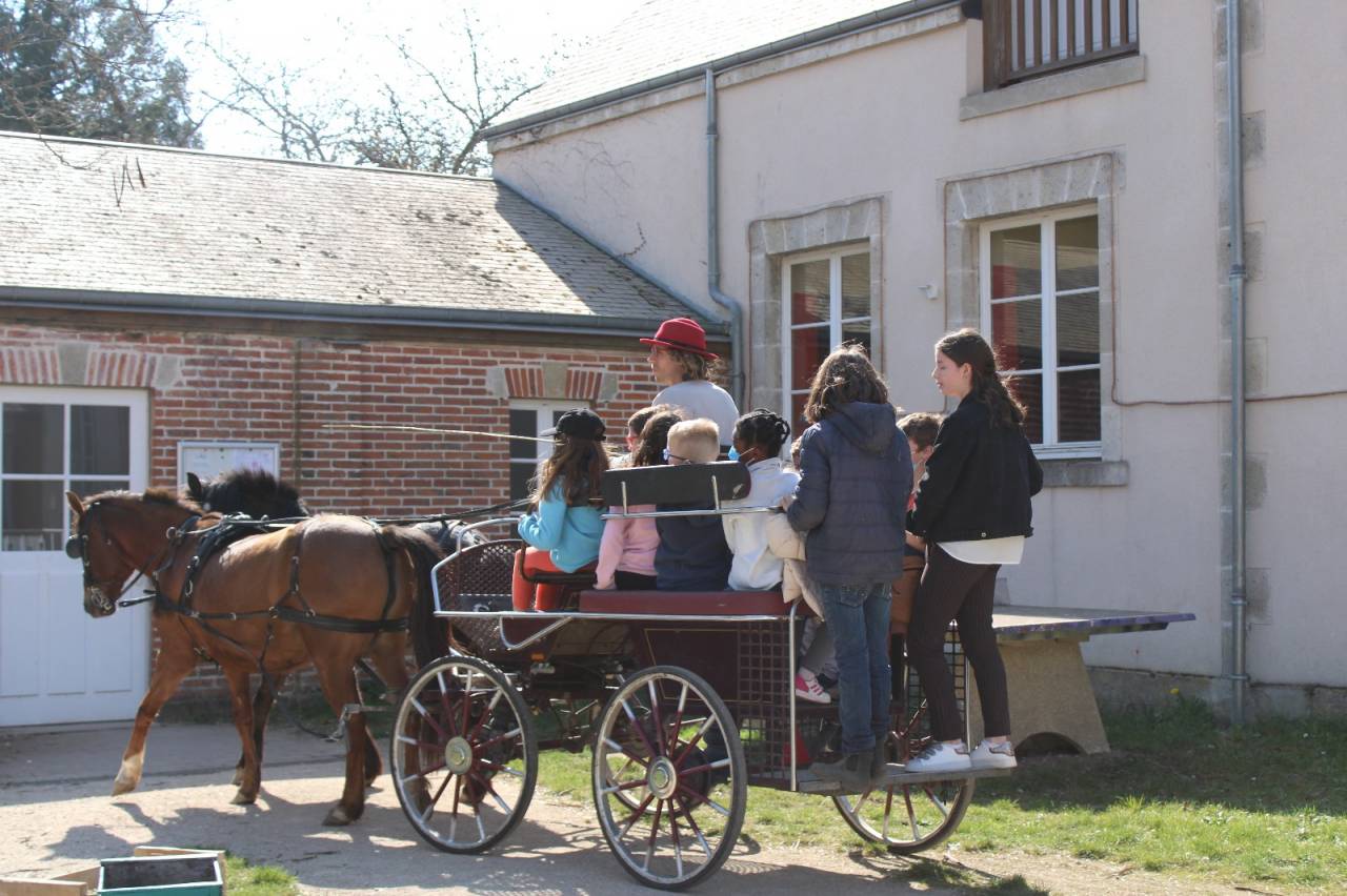Carriage - Marathon for leisure   