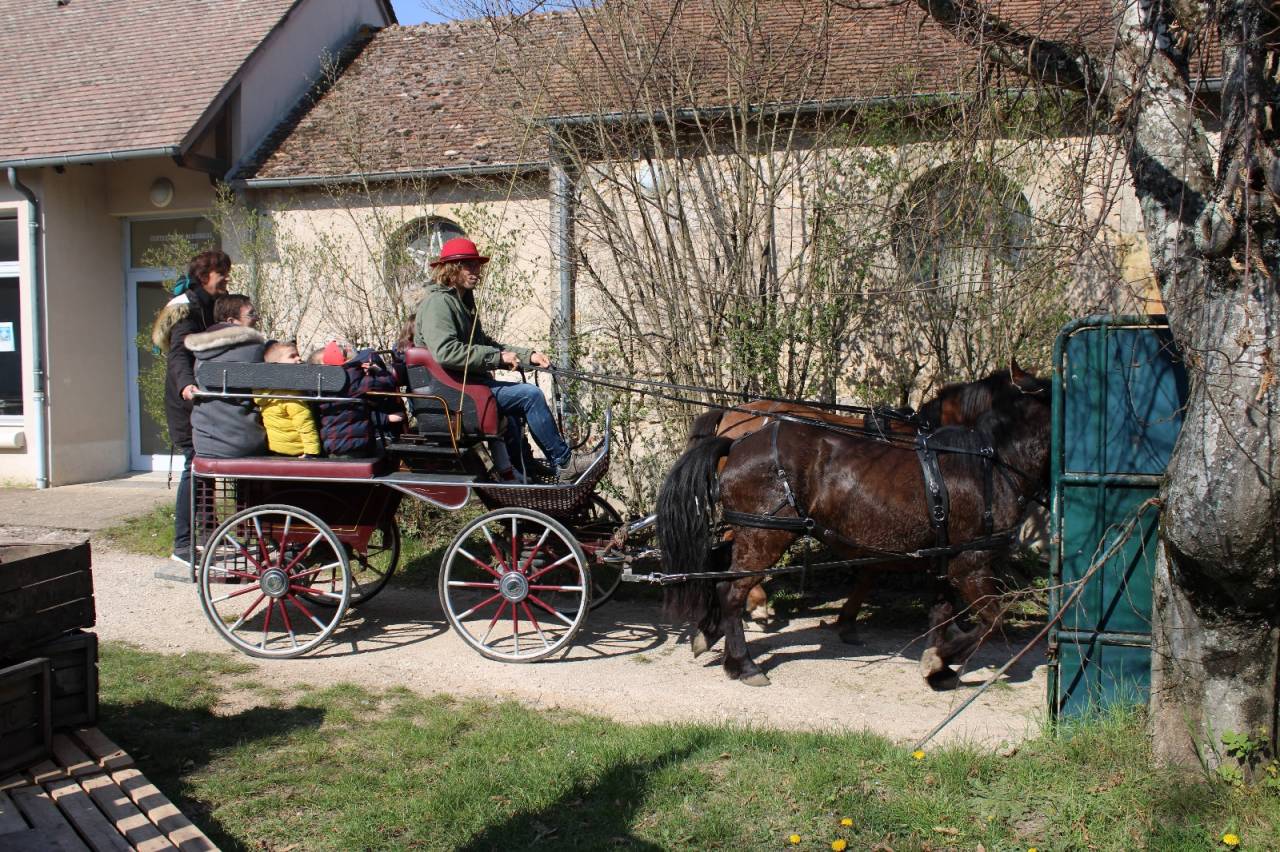 Carriage - Marathon for leisure   