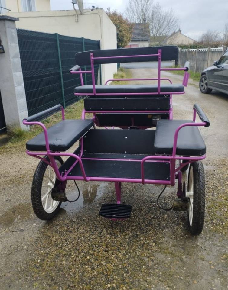 Carriage - Marathon for leisure   