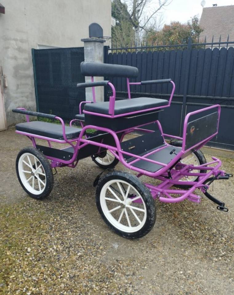 Carriage - Marathon for leisure   