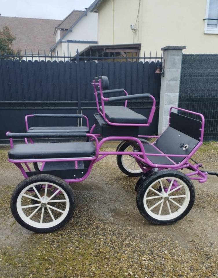 Carriage - Marathon for leisure   