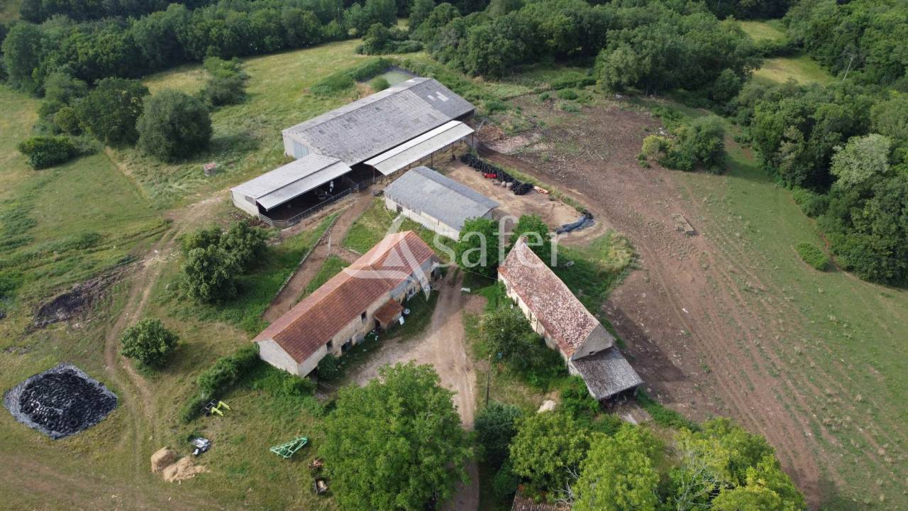 Sheep farm  Dordogne