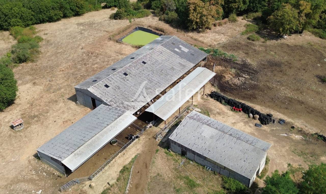 Sheep farm  Dordogne