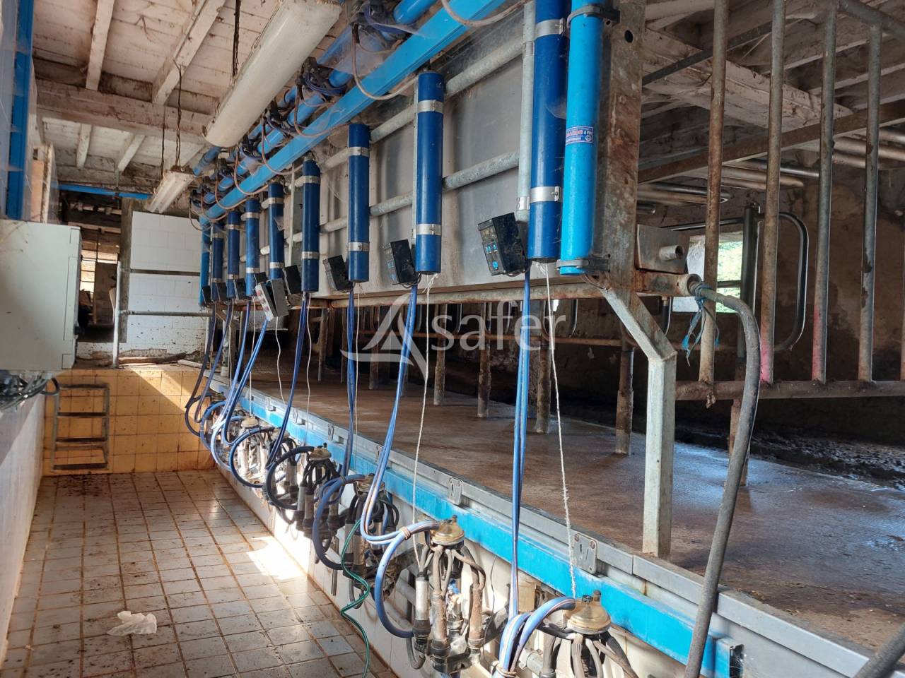 Sheep farm  Dordogne