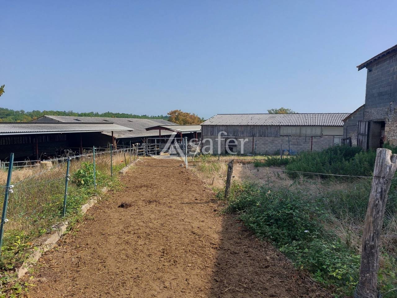 Sheep farm  Dordogne