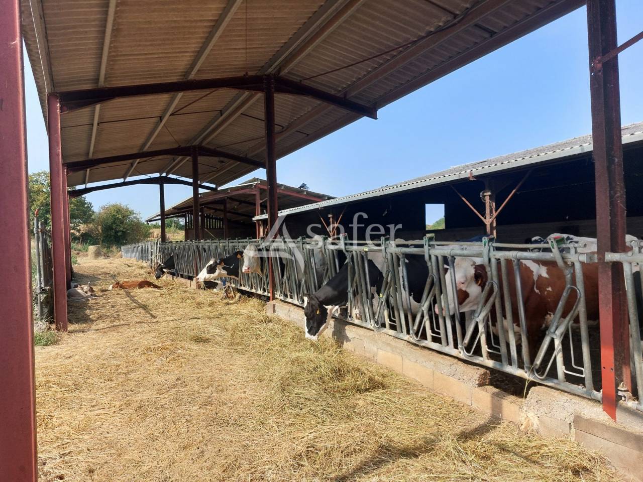 Sheep farm  Dordogne