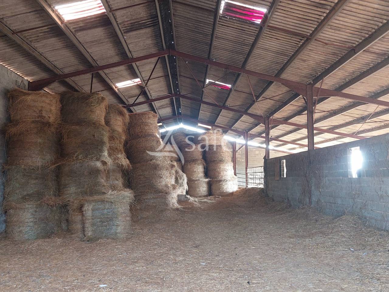Sheep farm  Dordogne