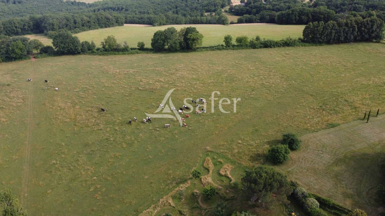 Sheep farm  Dordogne