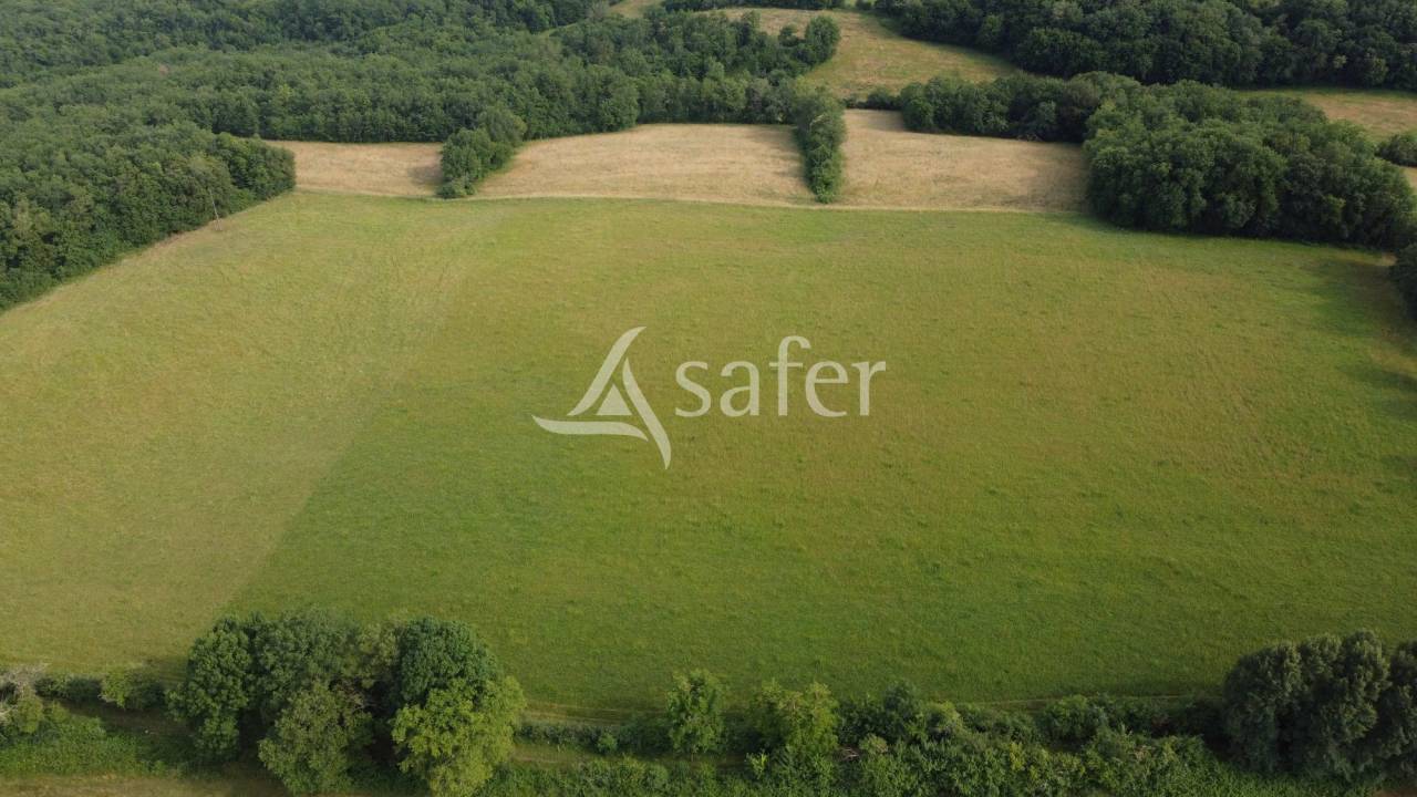 Sheep farm  Dordogne