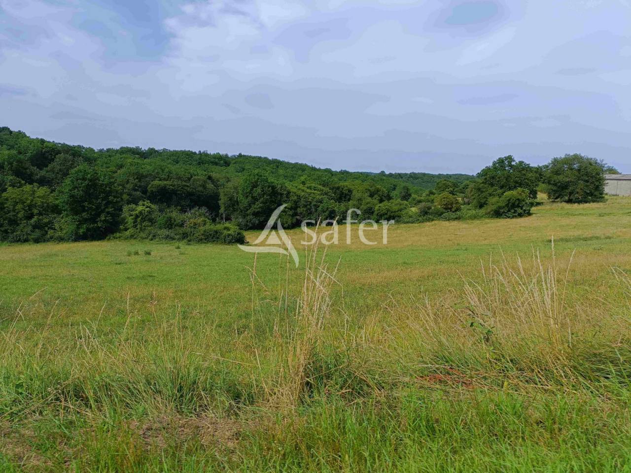 Sheep farm  Dordogne