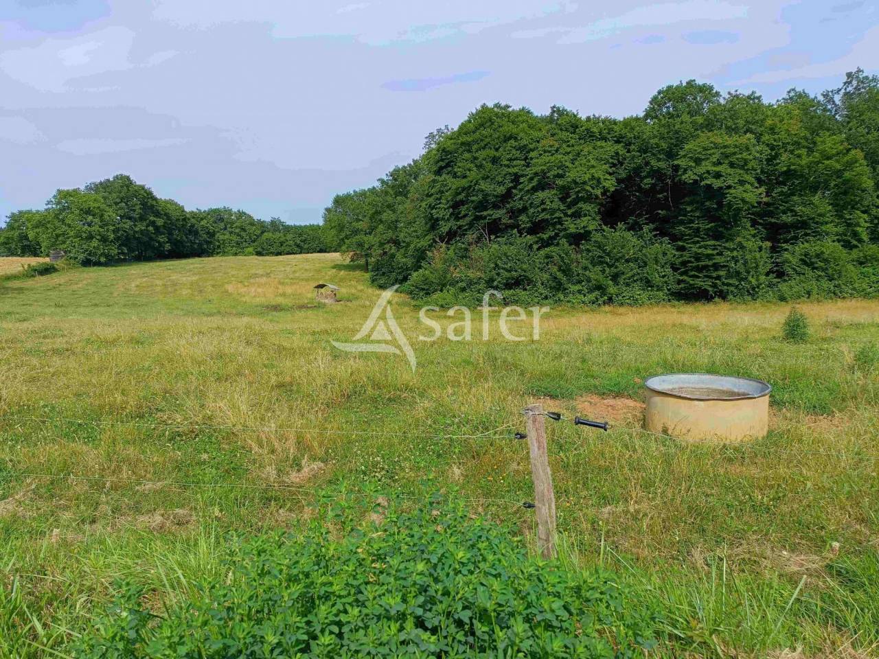 Sheep farm  Dordogne