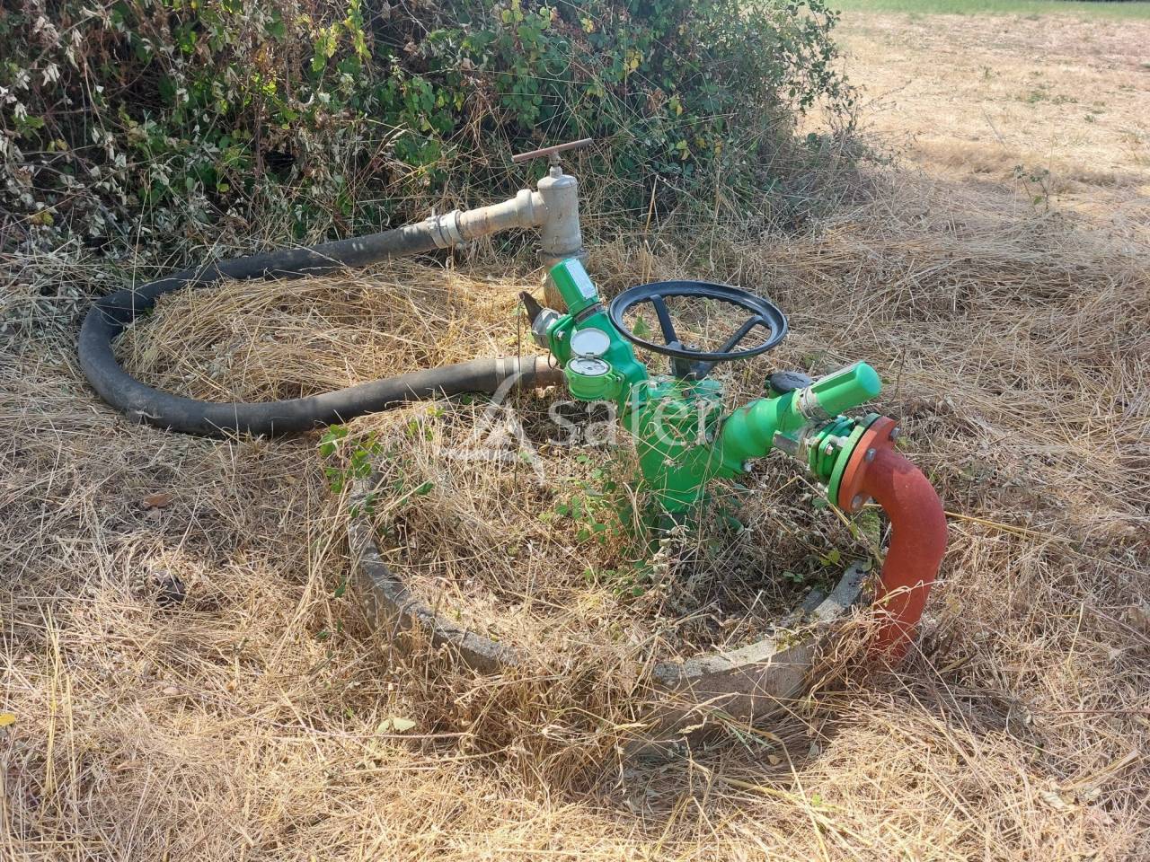 Sheep farm  Dordogne