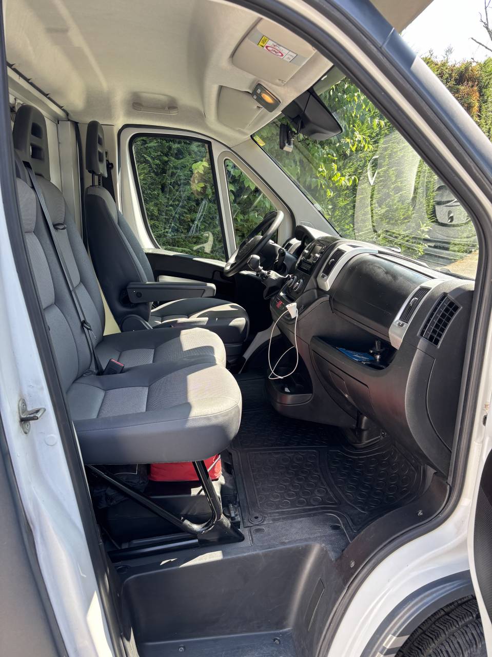 Horsebox HGV - Other brand - MSG Light 2020 Used