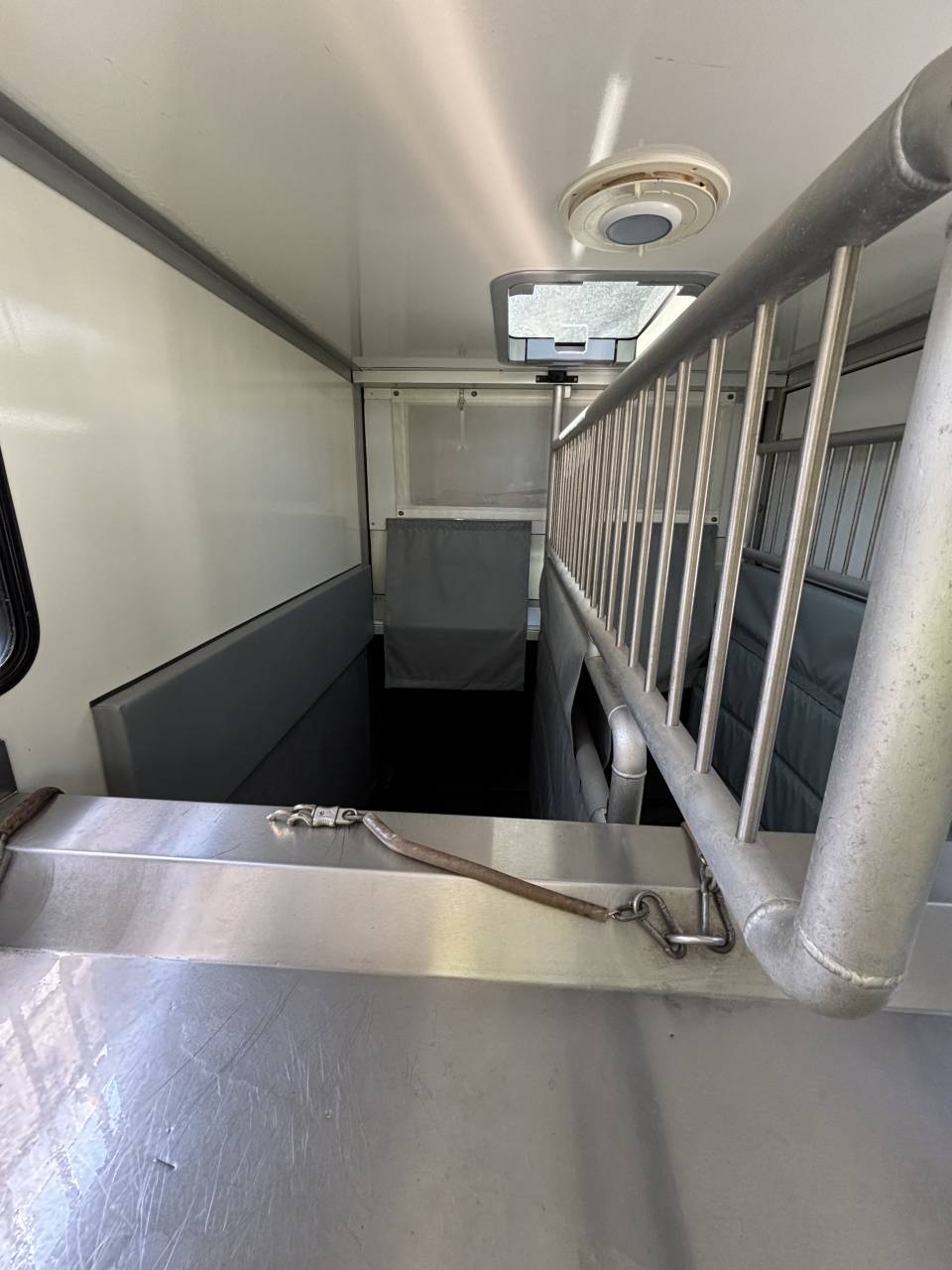 Horsebox HGV - Other brand - MSG Light 2020 Used