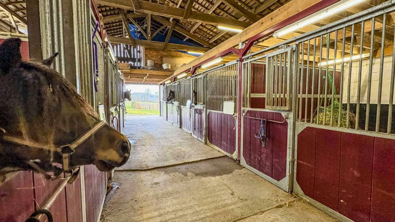 Luxurious equestrian property  Lot-et-Garonne