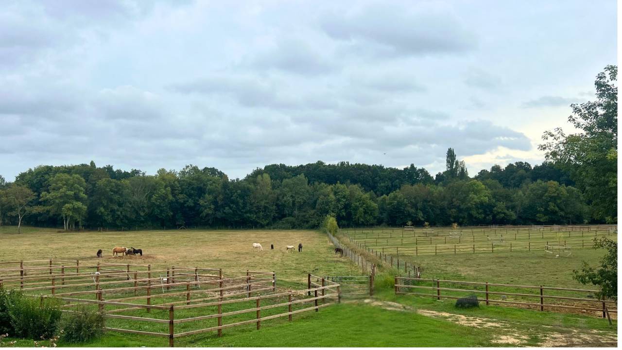 Luxurious equestrian property  Lot-et-Garonne