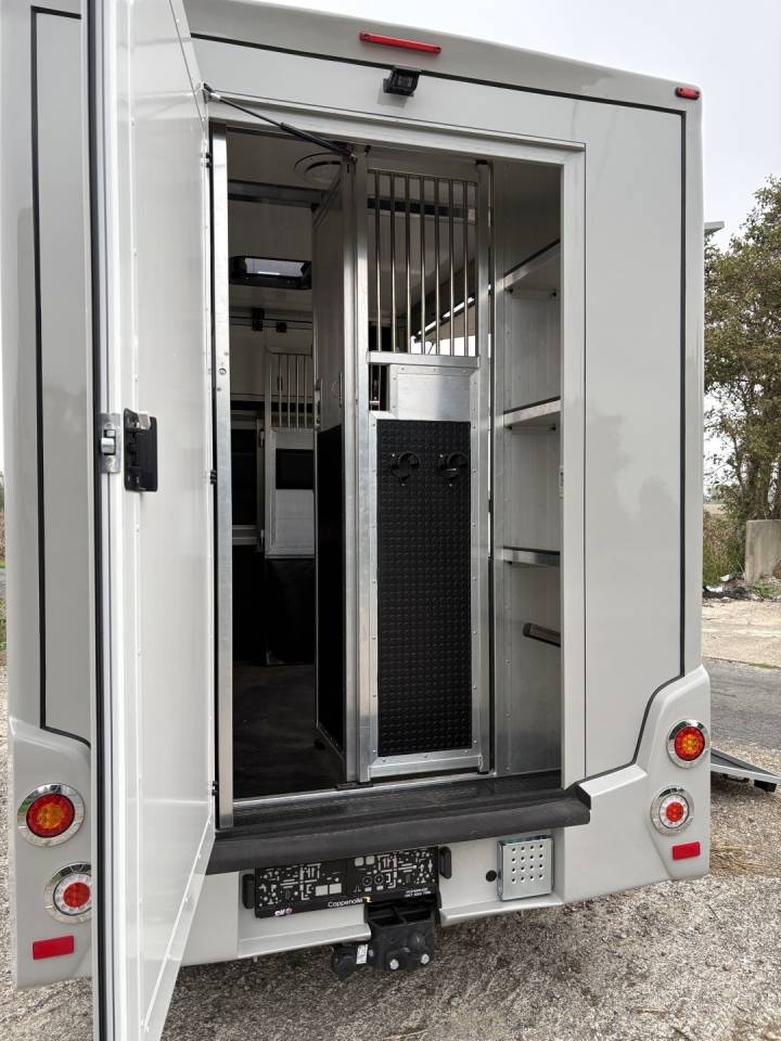 Horsebox HGV Renault Master 2022 New