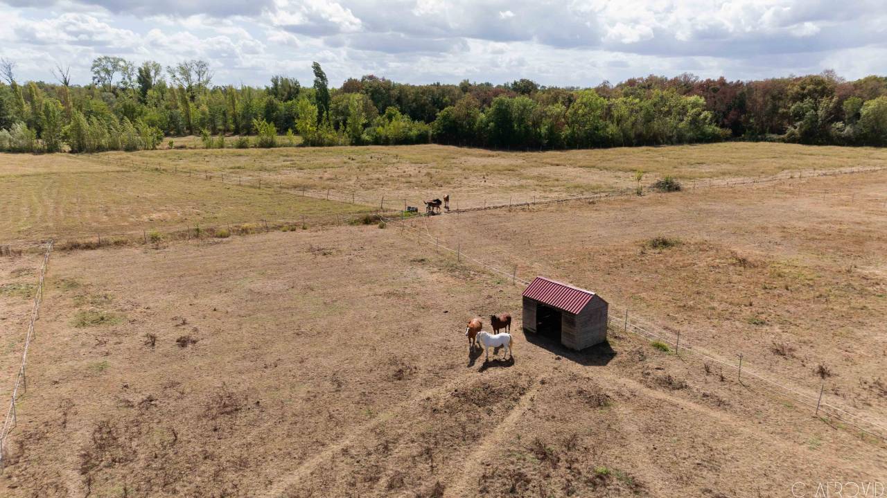 Equestrian property  Gironde