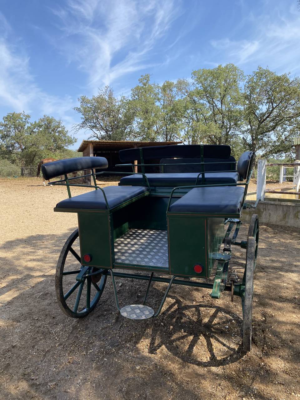 Carriage - Vis-à-vis Berrard  