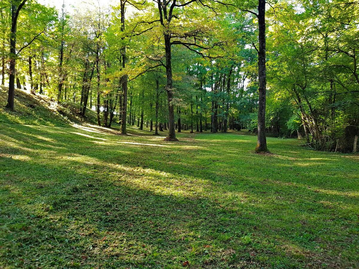 Equestrian property  Haute-Garonne