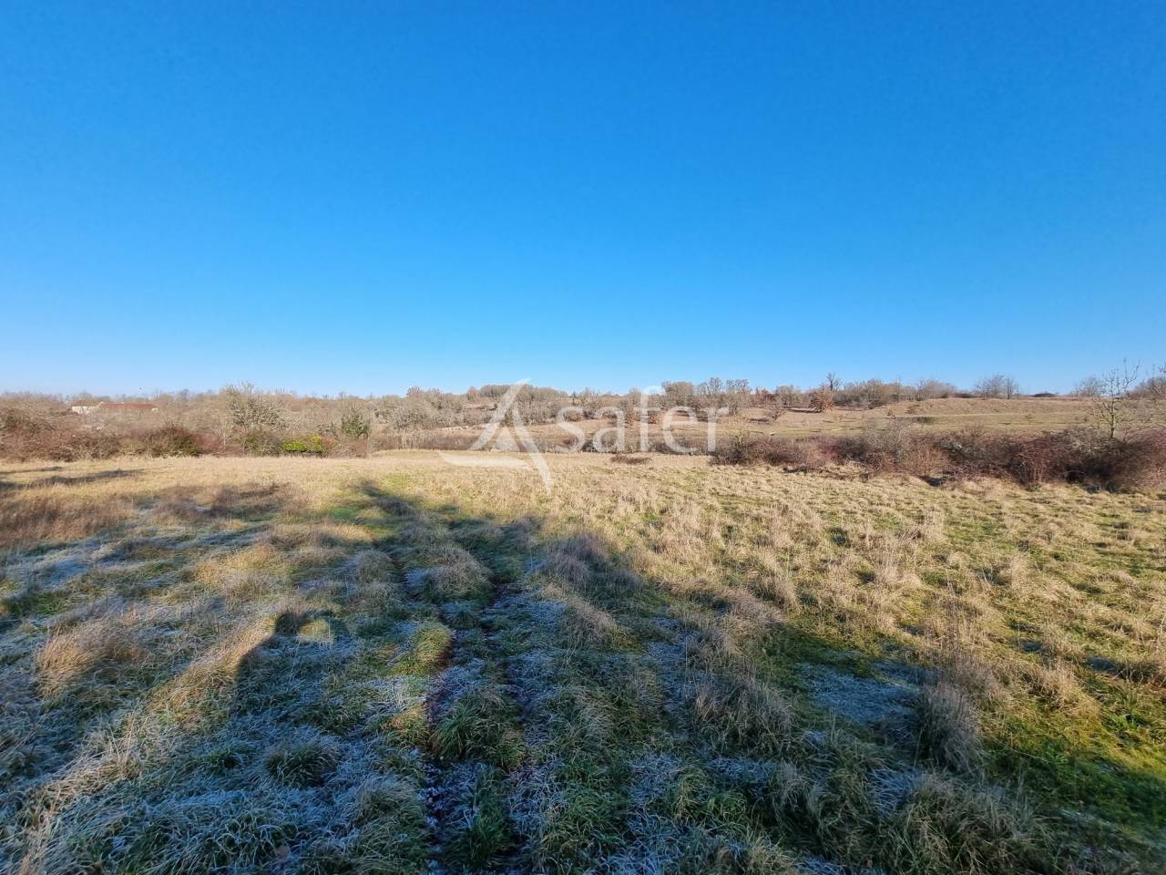 Sheep farm  Lot