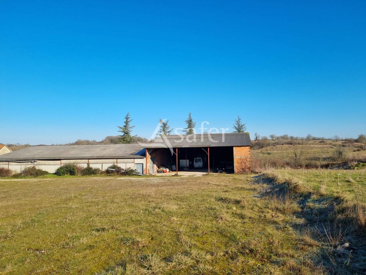 Sheep farm  Lot