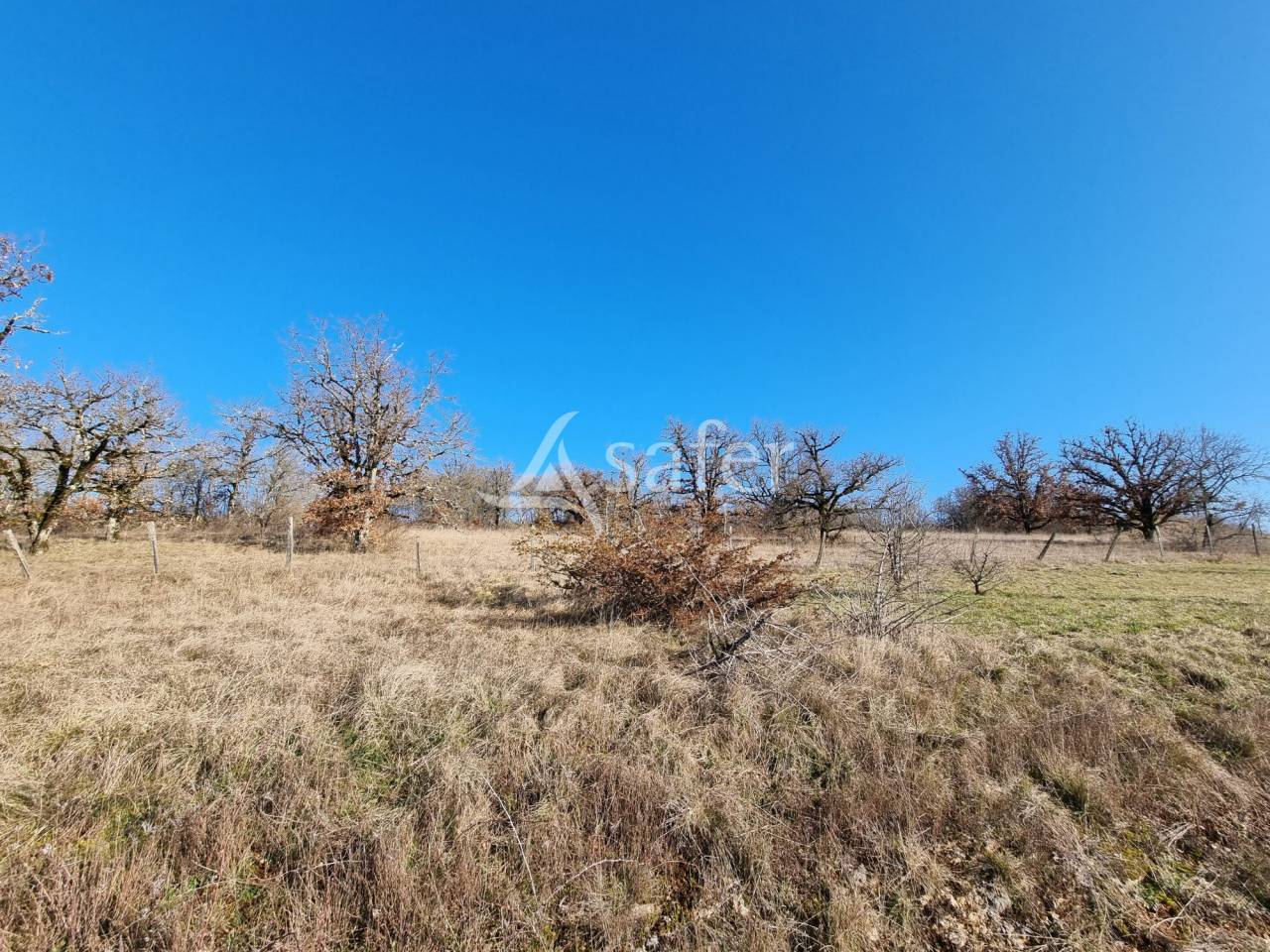 Sheep farm  Lot