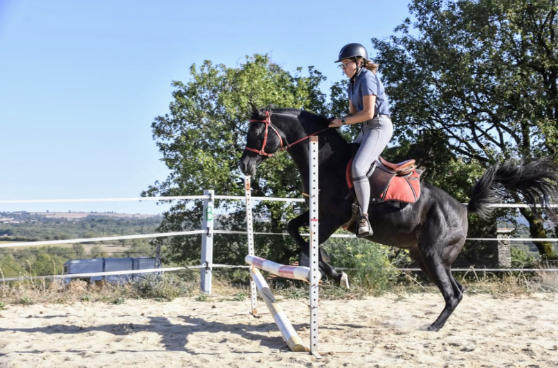 Levannte al Alsan  - Arabian 2017