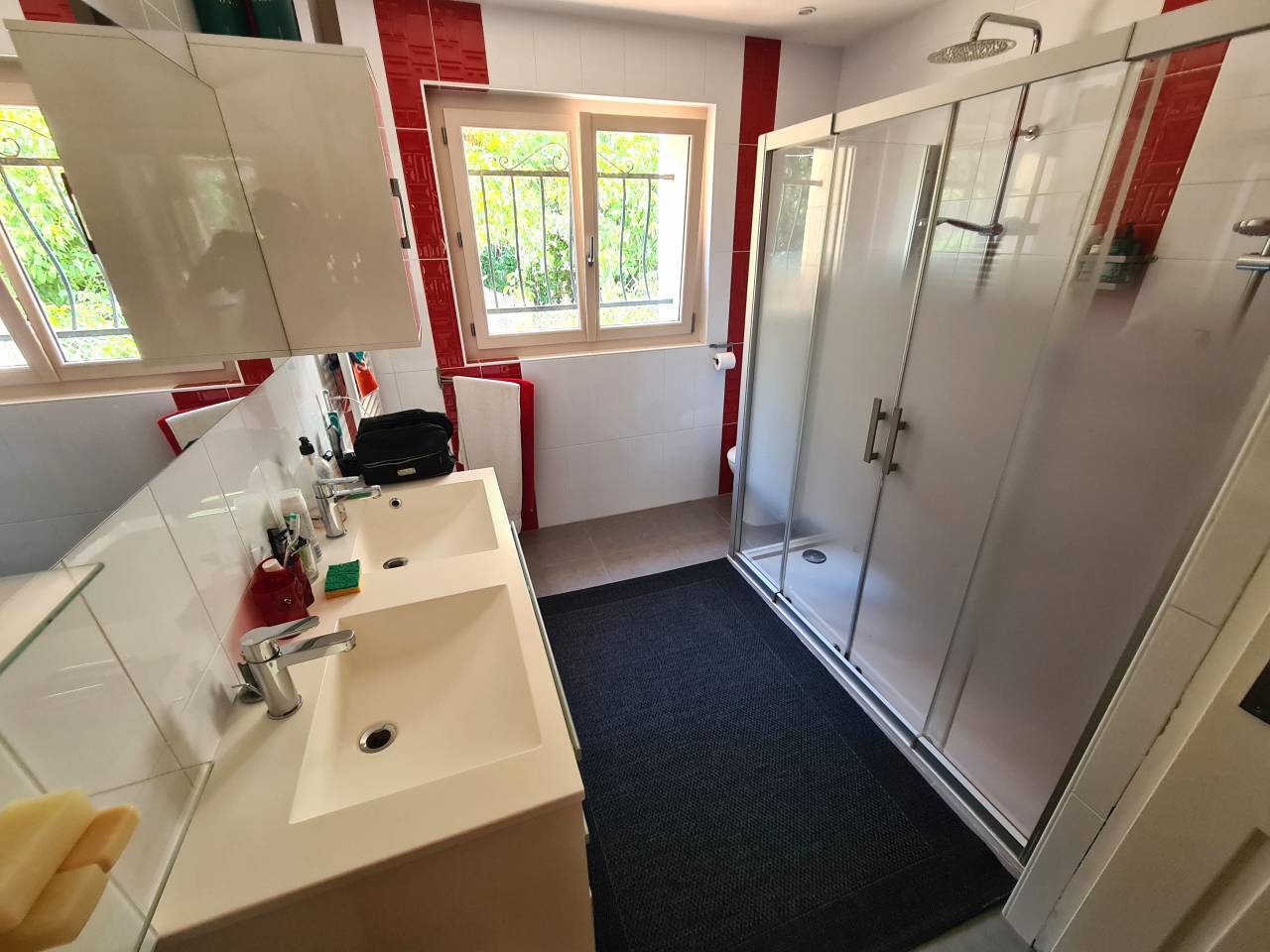 Luxurious equestrian property  Charente-Maritime