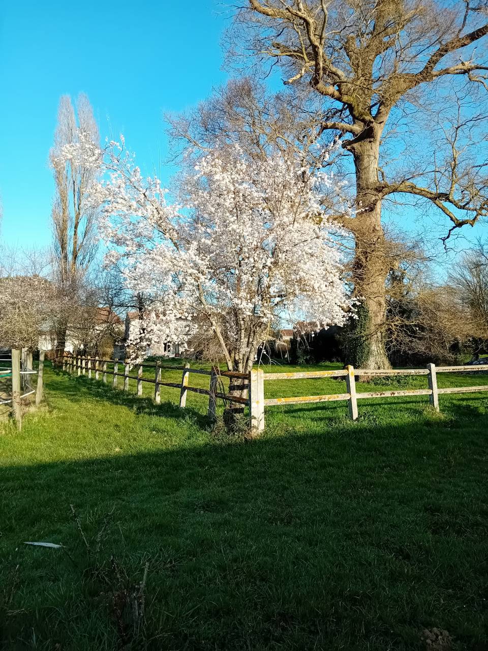 Luxurious equestrian property  Charente-Maritime