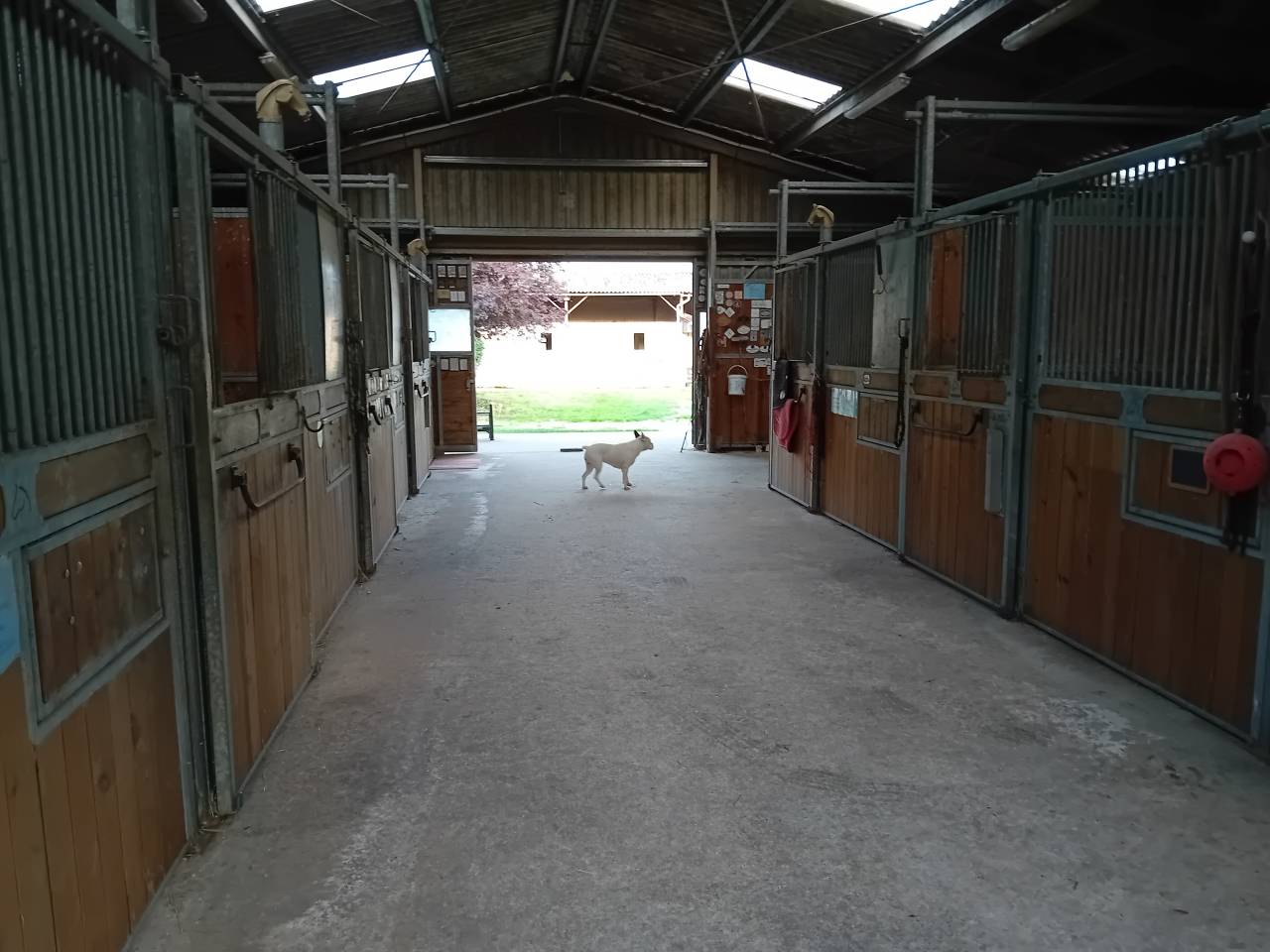 Luxurious equestrian property  Charente-Maritime